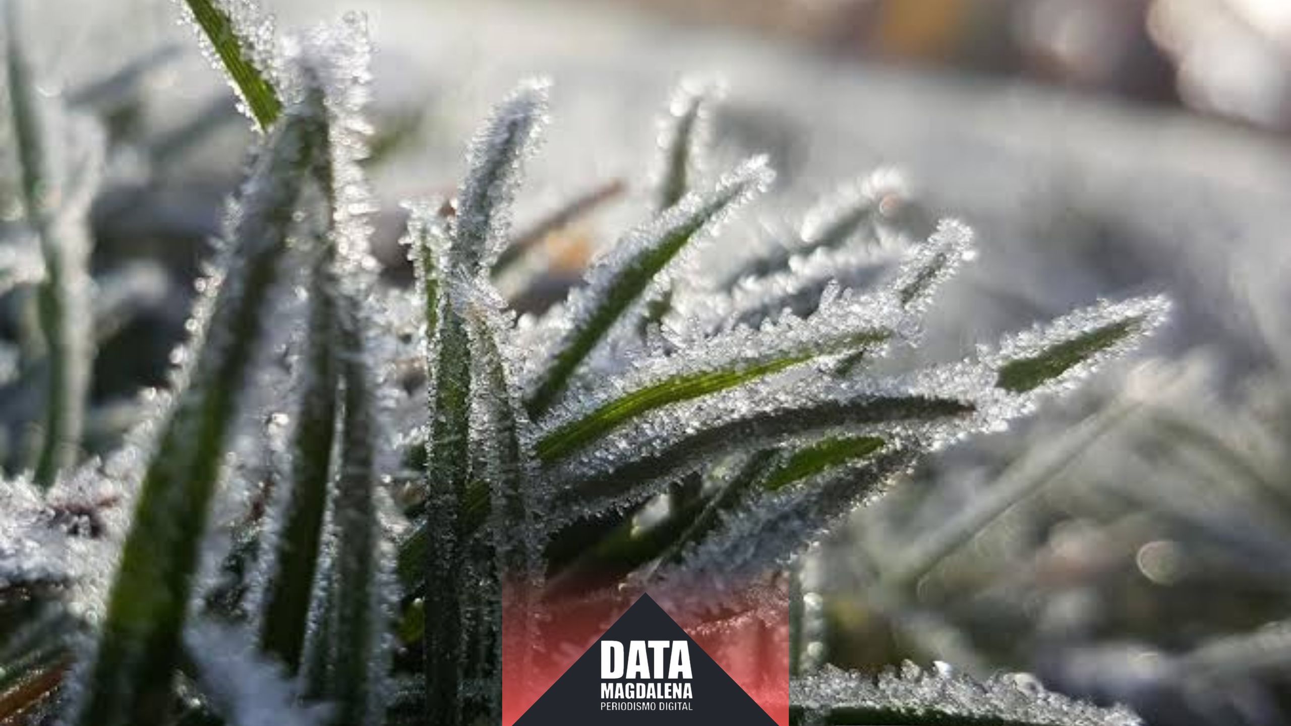Ola polar: el jueves 2 podría ser el día más frío del año